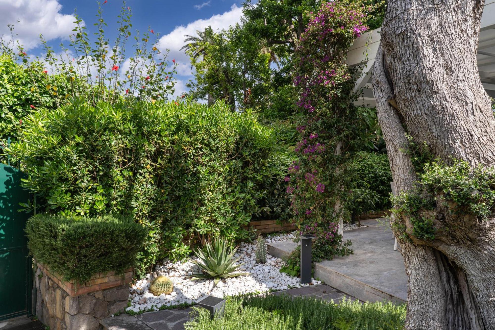 Il Canto Delle Sirene Sorrente Extérieur photo